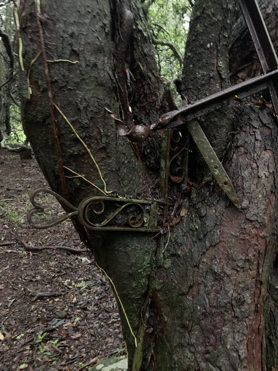 Josefina Gaminara Gayo (@joseegaminara) on Twitter photo 