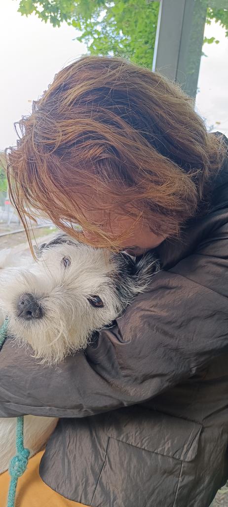 Dr Lene Auestad tweet media