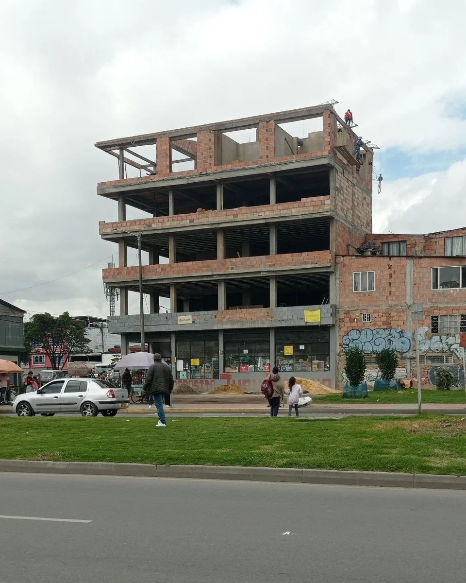 Patología.estructural tweet media