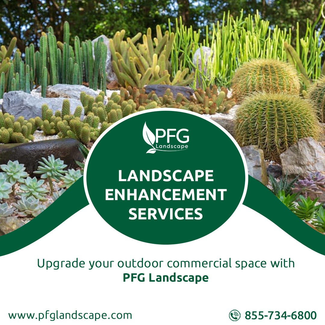 Why settle for the ordinary when you can have the extraordinary? 

From lush gardens to eye-catching hardscape features, we'll bring your vision to life.

#PFGLandscape #landscapingservices #phoenixarizona