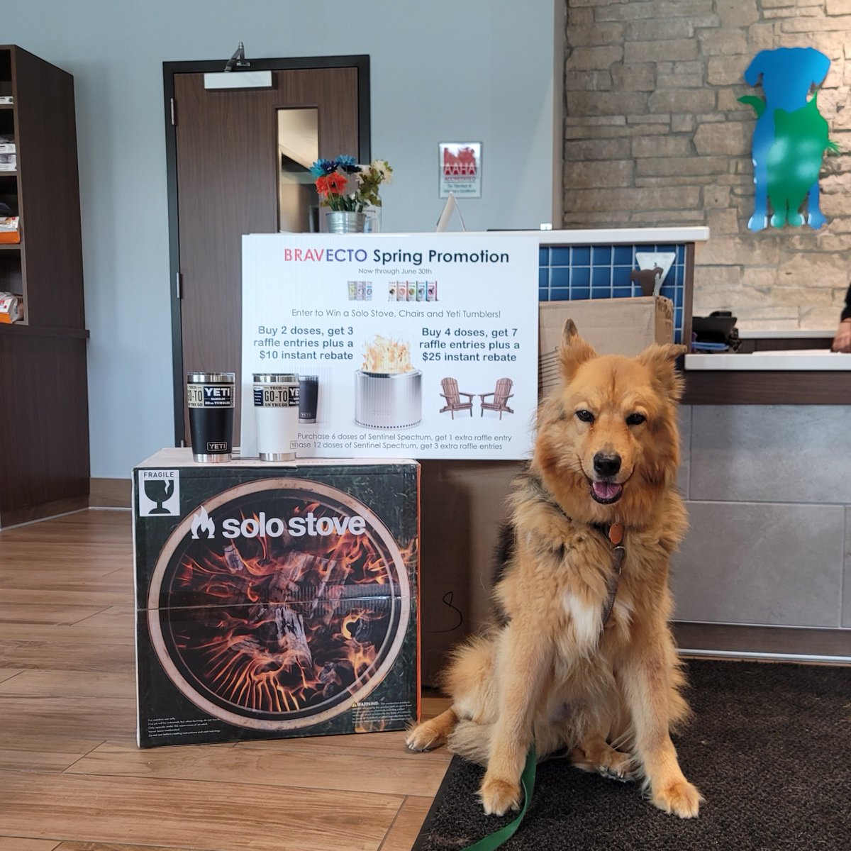 sugar_animal's tweet image. Lucky winners of the Bravecto Promotion, Lily and her family can't wait to enjoy spending time around the firepit with their new goodies. Congratulations! #sugarriverahgratham #grathampets #sugarriverah #sugarriveranimalhospital #bravectoforthewin