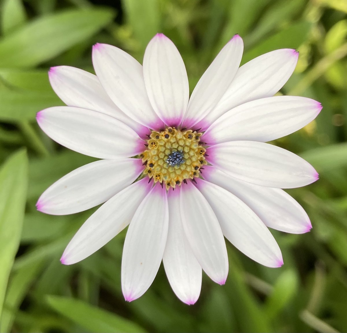 Barbara Morris (@barbsmorris) on Twitter photo 