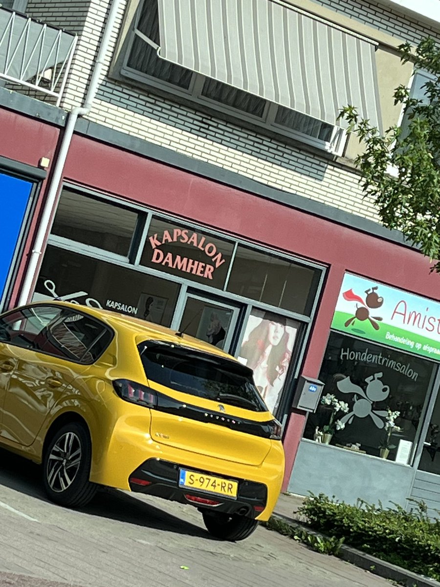 Bas Dingemanse tweet media