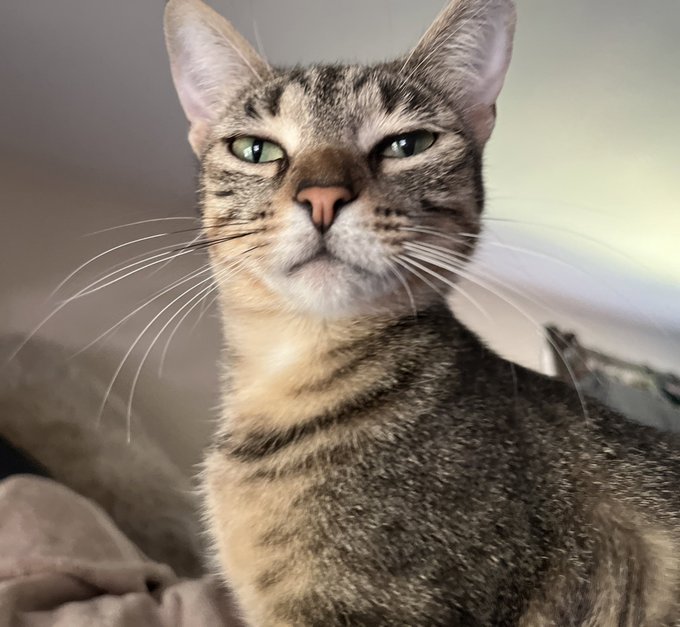 she is so cute, my little best friend https://t.co/jjImYebCVB