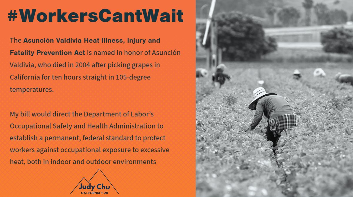 RepJudyChu's tweet photo. Working in the heat shouldn’t be a death sentence.

TODAY—I’m joining @BobbyScott, @RepRaulGrijalva, @RepAdams &amp; Senate partners in introducing the Asunción Valdivia Heat Illness, Injury and Fatality Prevention Act to require @OSHA_DOL address heat stress in the workplace.🧵(1/3) https://t.co/oIk3SoDuzo