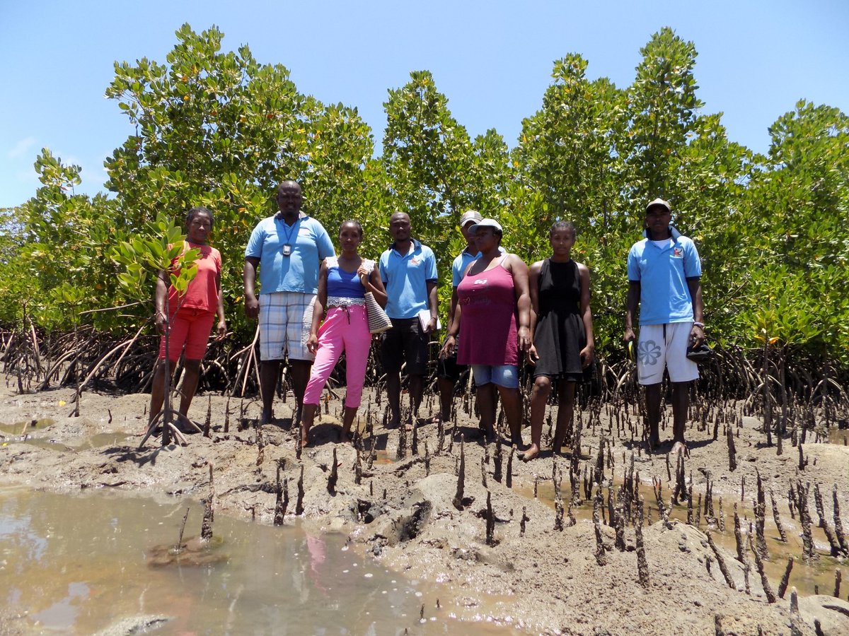 FANAMBY's tweet photo. 🌿 Aujourd'hui marque la journée internationale des mangroves.

🌍 Pour les populations locales, les mangroves ont une grande importance. Elles fournissent des sources de revenu et d'alimentation essentielle aux populations environnantes. https://t.co/u5Ax7LeawS