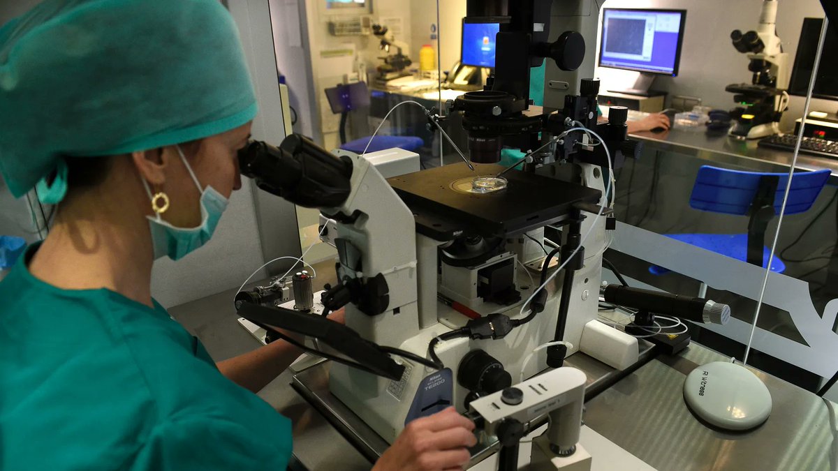 boost_fertility's tweet photo. Americans are going abroad for affordable fertility treatments https://t.co/QqAmfC8pKm https://t.co/ecakNKAL7m