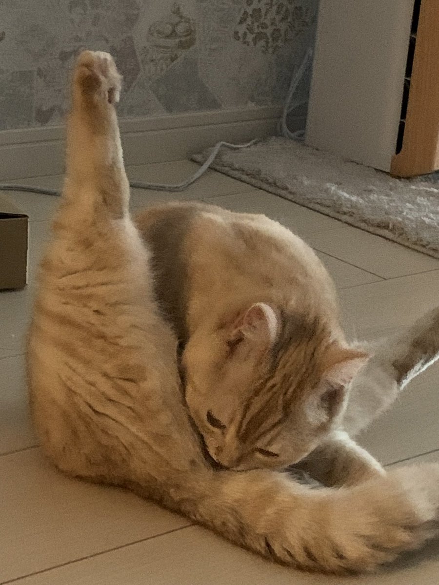 おめーなにしてんだぁ