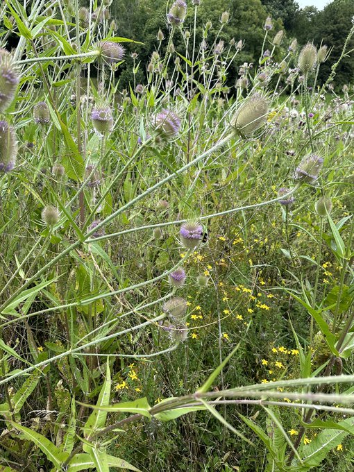 Adventuring 🩷❤️ https://t.co/SADWm1A9T3