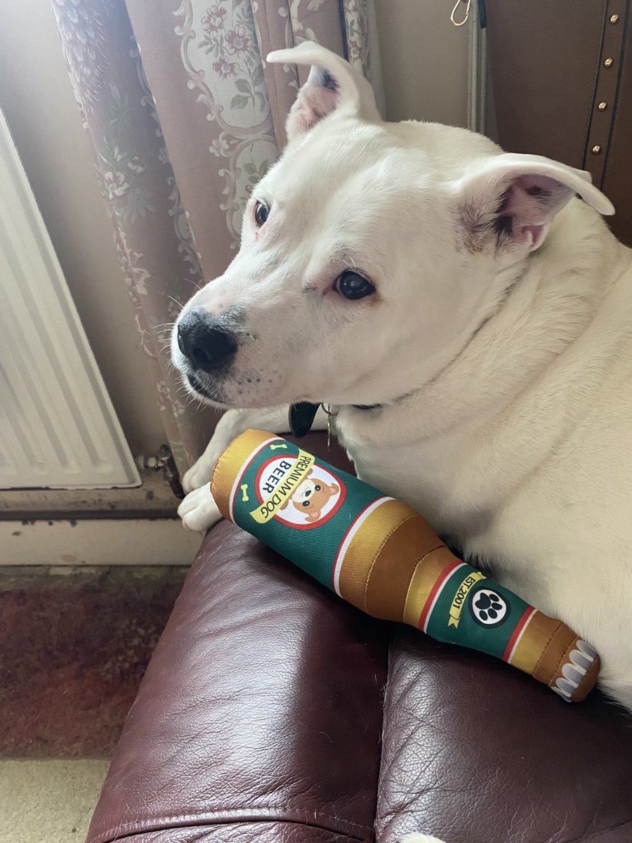 Nana Shortie🏴󠁧󠁢󠁳󠁣󠁴󠁿 and Uncle Big Sniff 🌈 tweet media