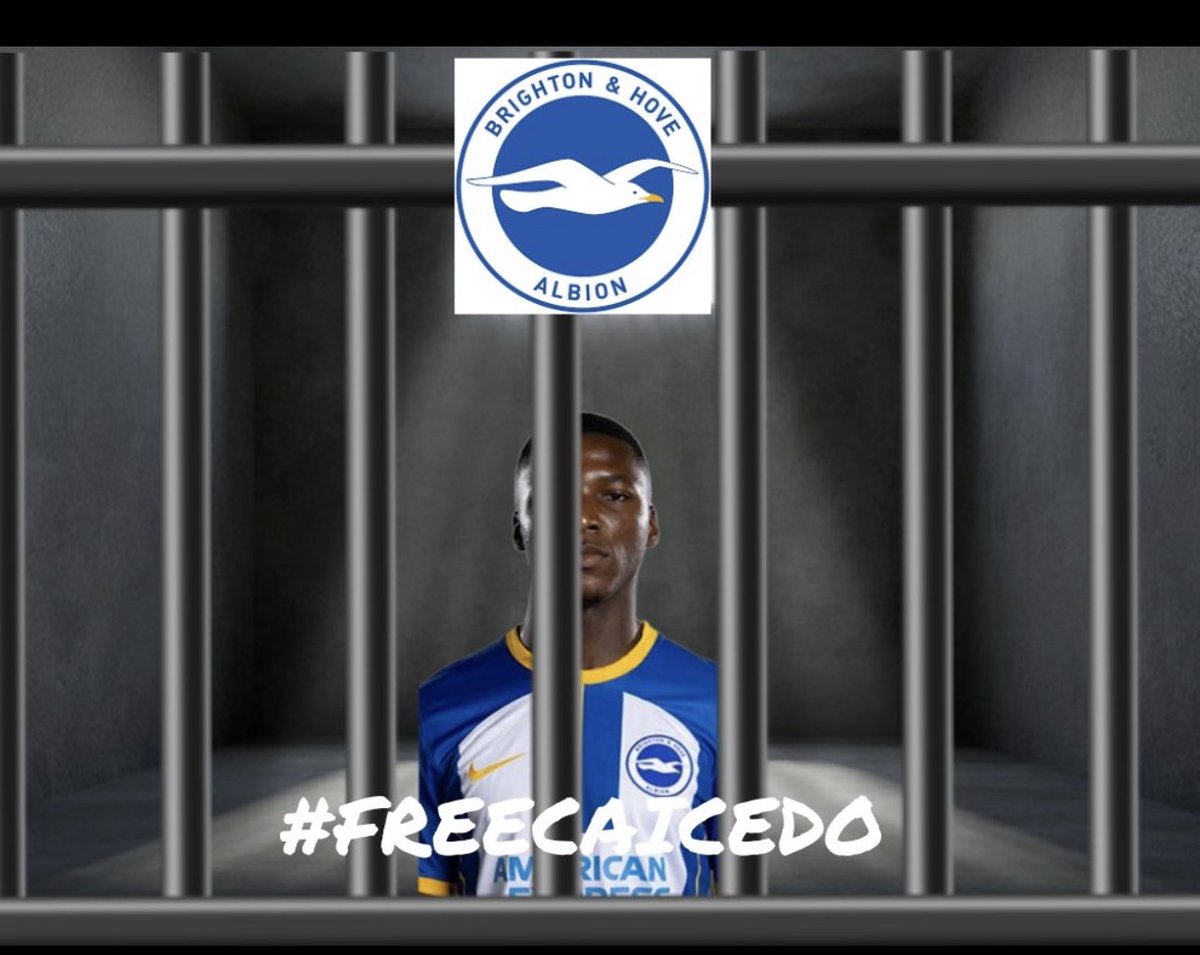 Plainspoken__'s tweet photo. @OfficialBHAFC #FreeCaicedo https://t.co/S8zyat82Xa