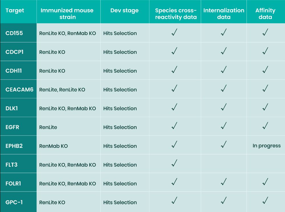 biocytogen's tweet photo. To solve this problem, our RenLite model can be used to generate antibodies with a common light chain for streamlined assembly. Below are selected TAA targets with data packages available. Contact us today to learn more: BD-Licensing@biocytogen.com. #bispecific #ADC #fullyhuman https://t.co/5COR1CxeNr