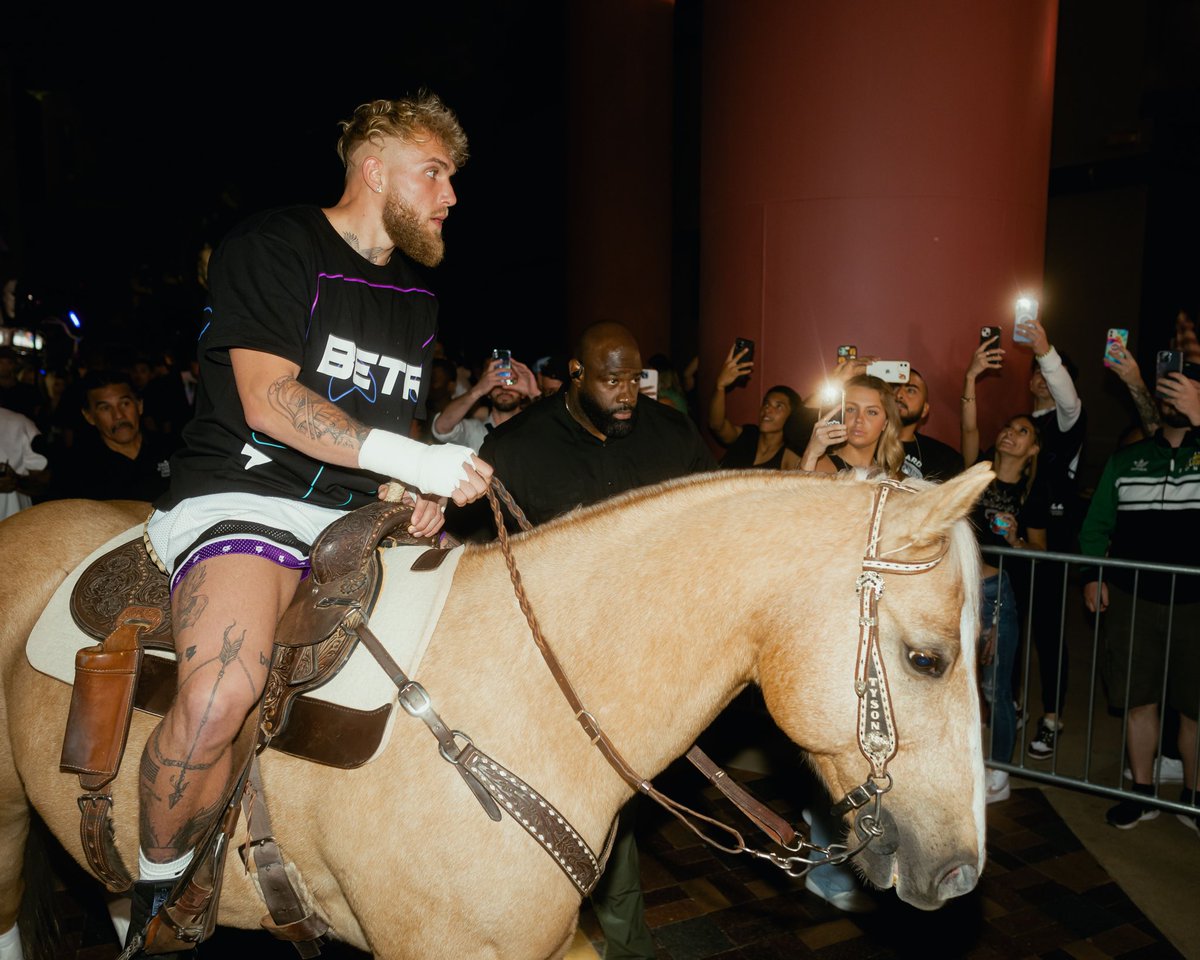 Jake Paul tweet media