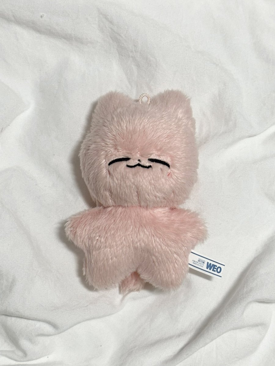 qwert01412's tweet photo. 잰냥이 2.0 양도해요

반택으로 거래합니다

재현 10cm 인형 엔시티일이칠 nct nct127 https://t.co/cZlQF8ckJp