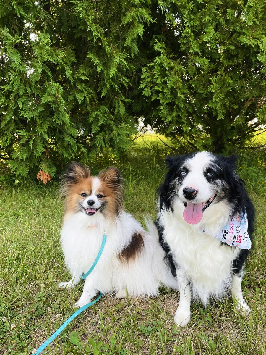KelsBar's tweet photo. These two 🥰 https://t.co/wAbTxcx2Aj