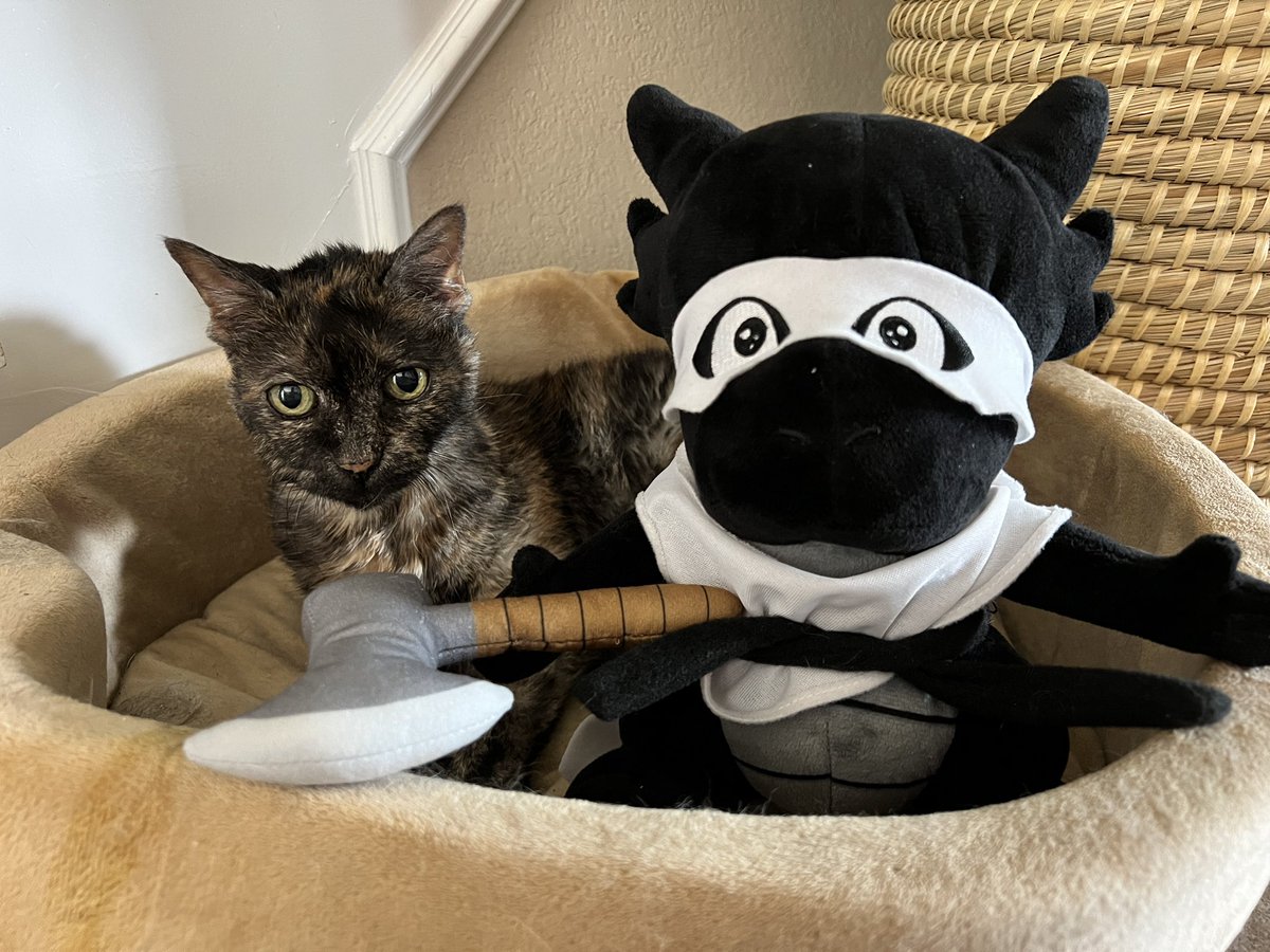 heroplush's tweet image. 🪓🥷 Kaku, the monk keeps people safe at night, and who better to protect than Wash, the queen of the house who will be turning 19 next year! 👸🏽👑 #koboldplush #heroplush