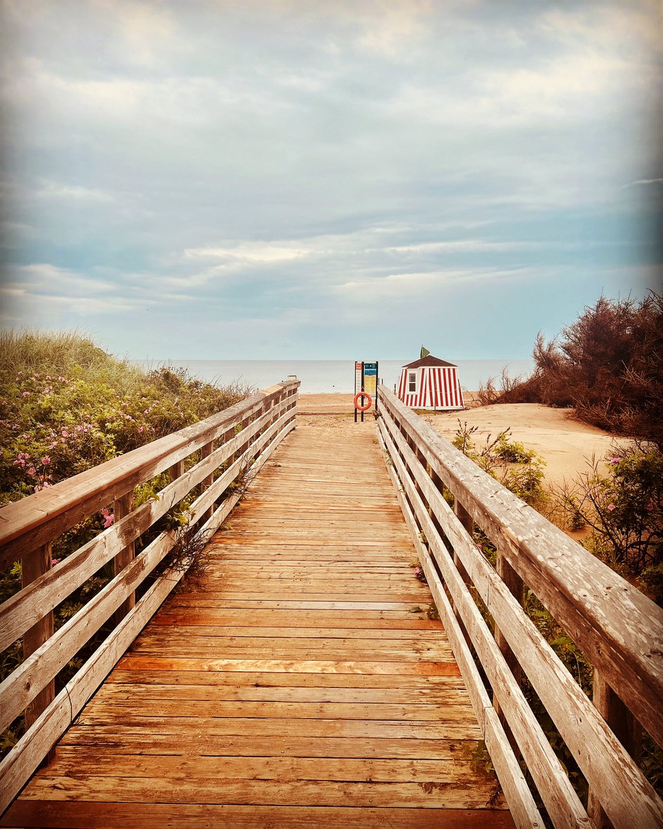 Scott MacLeod tweet media