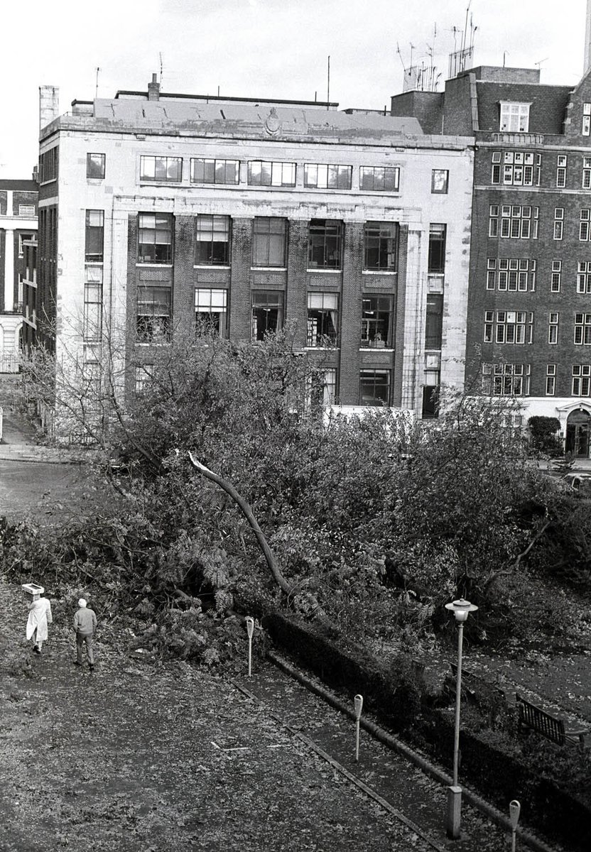 neurolib's tweet photo. This month's #ExploreYourArchive theme is #EYASpace. Today's images are of Queen Square after the Great Storm of 1987. https://t.co/PCssKu6y2W https://t.co/NszG7gufjK