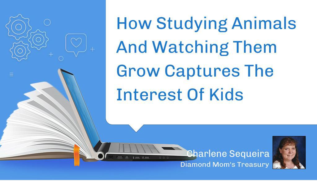 In many primary classrooms, at some time during the year you will find a life cycle of some animal being studied.

Read more 👉 lttr.ai/AA65F

#learningaboutanimals #animalresearch #AnimalLifeCycles