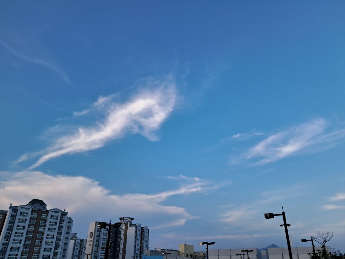 이제 여름인가~