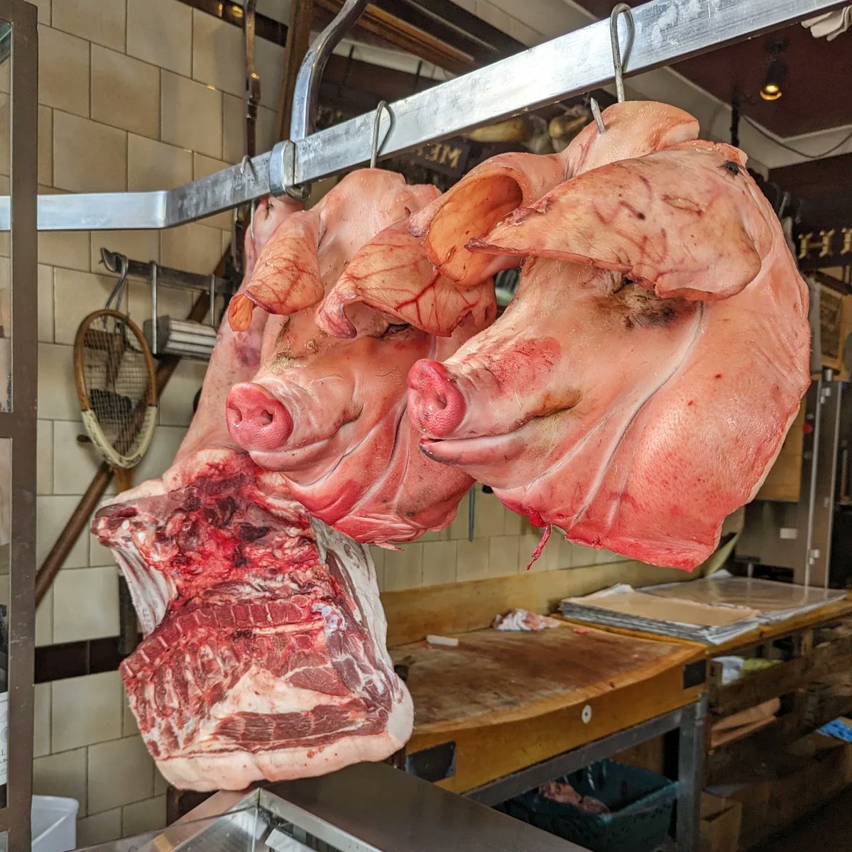 Turner & George tweet media