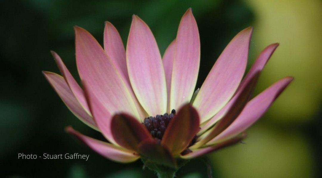 UCSFCAPS's tweet image. go.cms.gov/3JYzxjb - On July 12, CMS proposed a National Coverage Determination for #PrEP using antiretrovirals for persons at high risk of HIV + additional screenings for HIV and hepatitis B virus for high-risk patients. 

Comments are due by August 23. 
#NatlPrEPProgramNOW