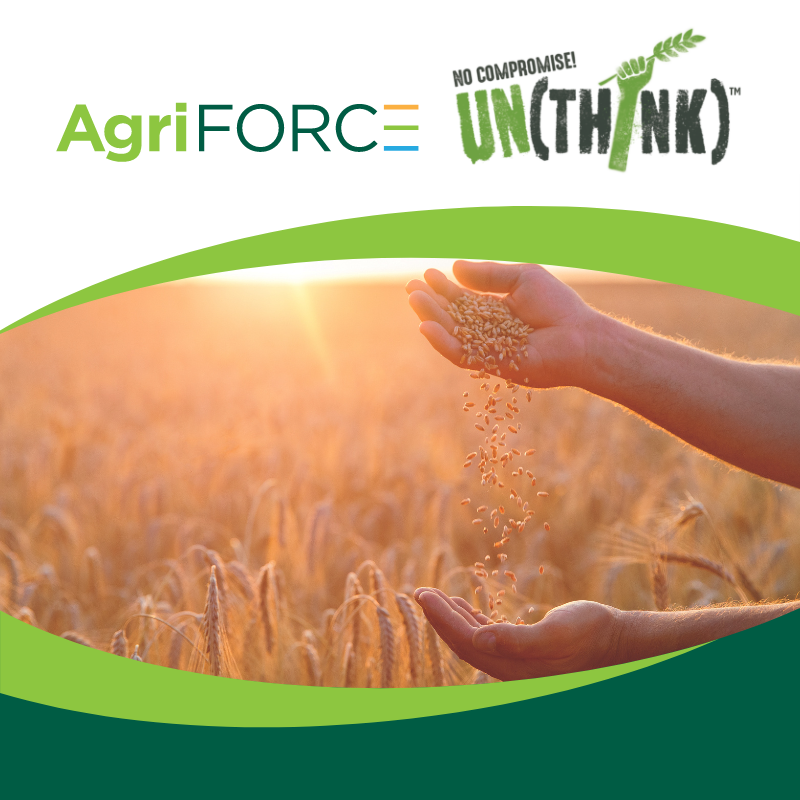 avax_one's tweet photo. At UN(THINK), we carefully use humidity and temperature to start activating enzymes in grains, looking for the optimal point to make them more nutritious, easier to digest, and better tasting too.
Learn more here: https://t.co/FaBipOLfH7
#agriforce #unthink #awakenedflour https://t.co/7TxBpRc3sI