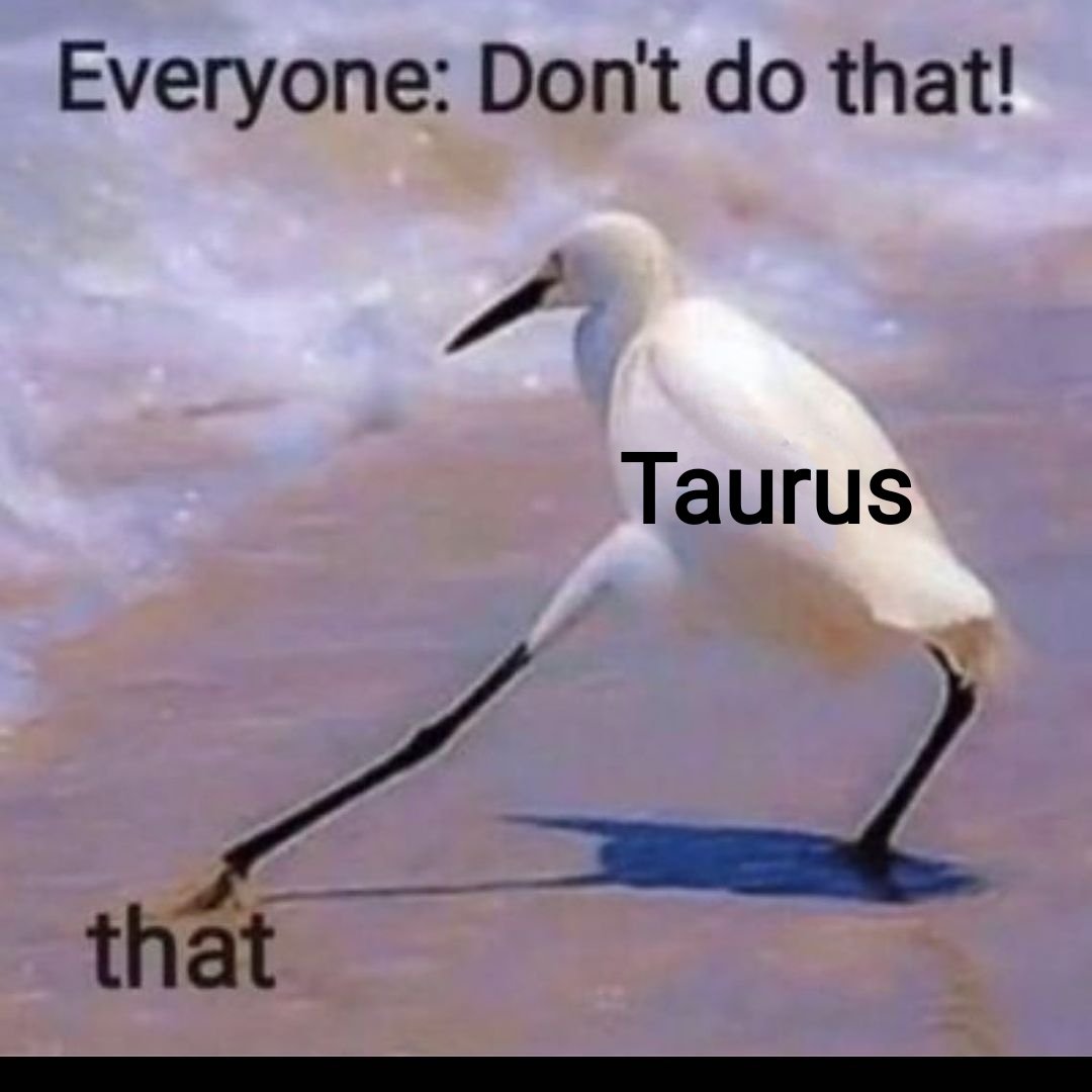 BrainTaurus's tweet photo. #Taurus https://t.co/4d4wzr6QDZ