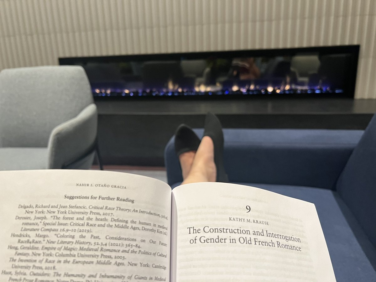 My view from the conference hotel at #icls23. What a great place to chill before another day of panels. 😍