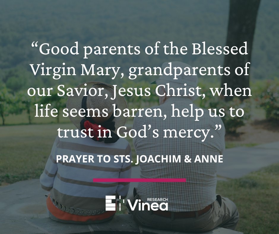 Vinea Research tweet media