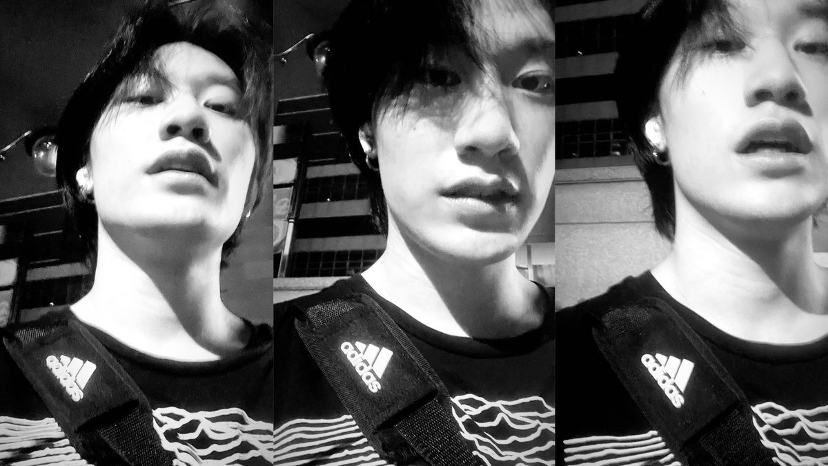 여우담 🦊 tweet media