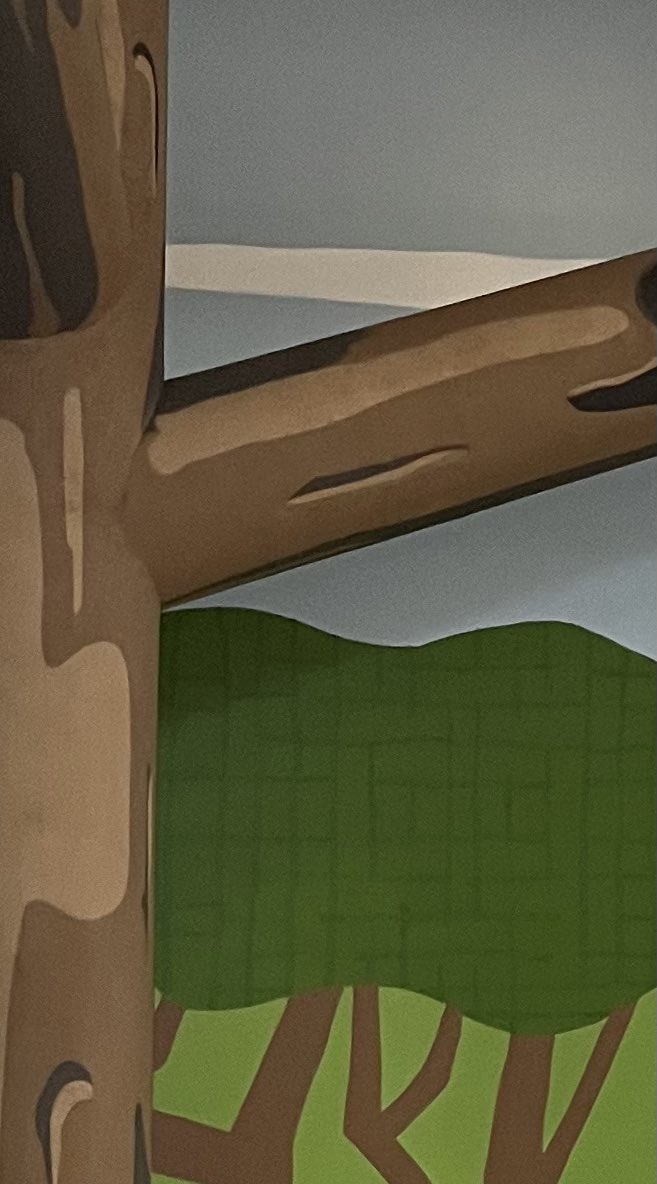 Melissa Stewart tweet media