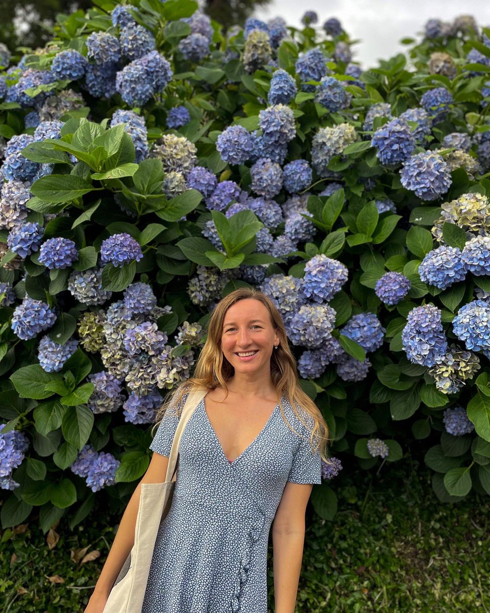 Hello😽
Everyone shows their wonderful life. I'm just trying to enjoy the little things: beautiful flowers, delicious cake ... Every artist tries to sell his [her] photo. And every time it makes me think of selling my photos. But this is your influence - the #NFTCommumity