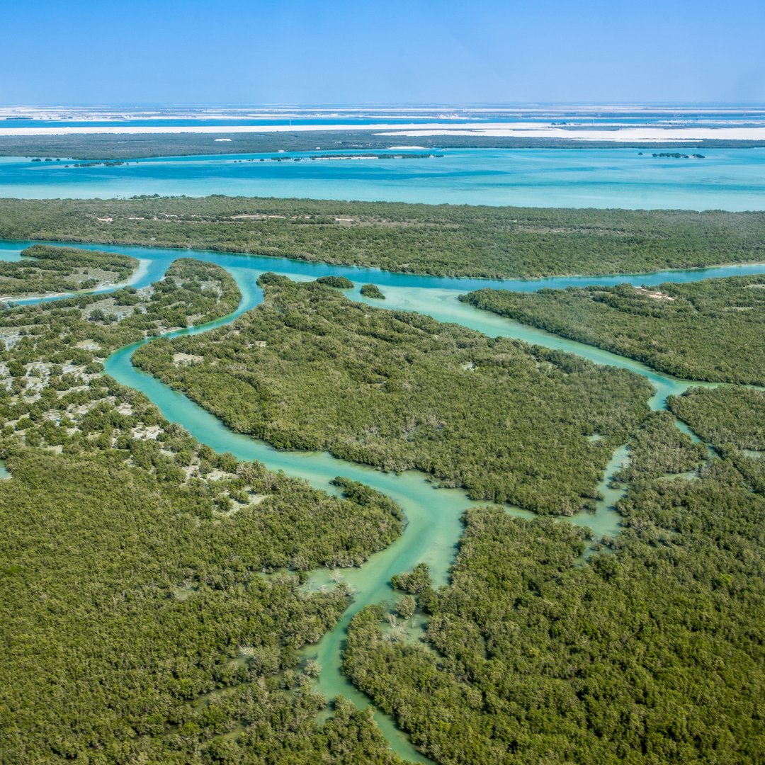 Dendra Systems tweet media