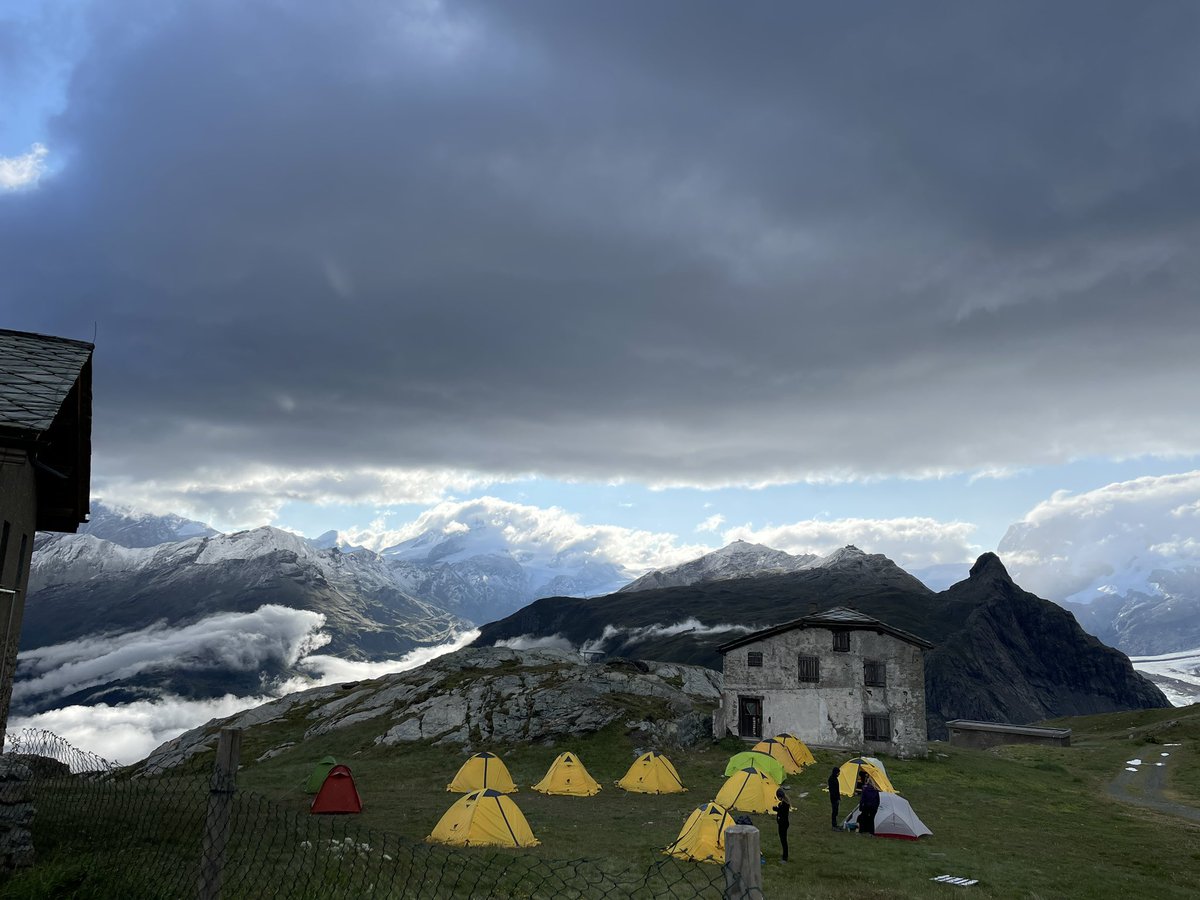 Sarah Pappin tweet media