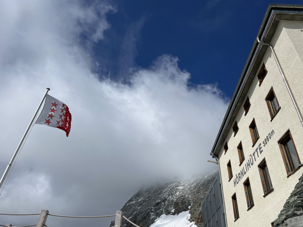 Sarah Pappin tweet media