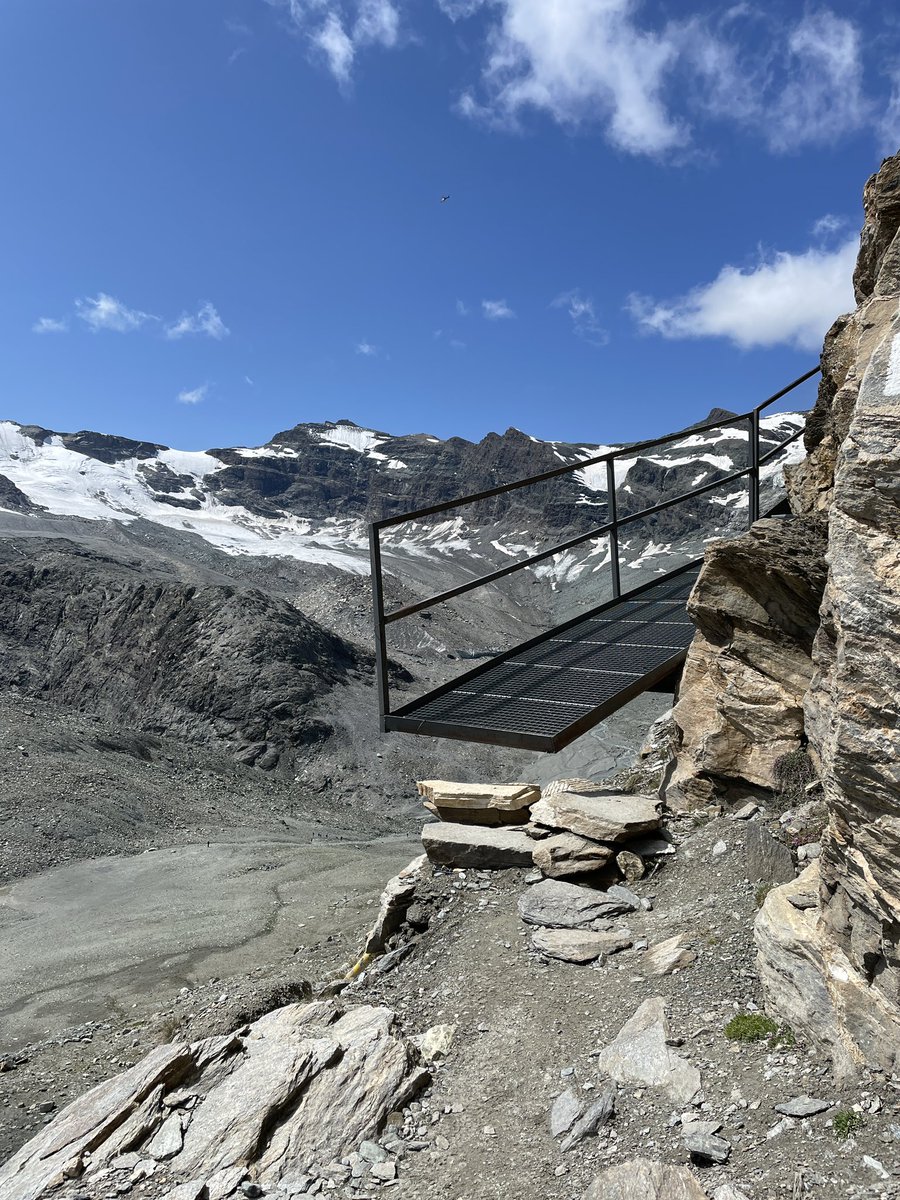 Sarah Pappin tweet media