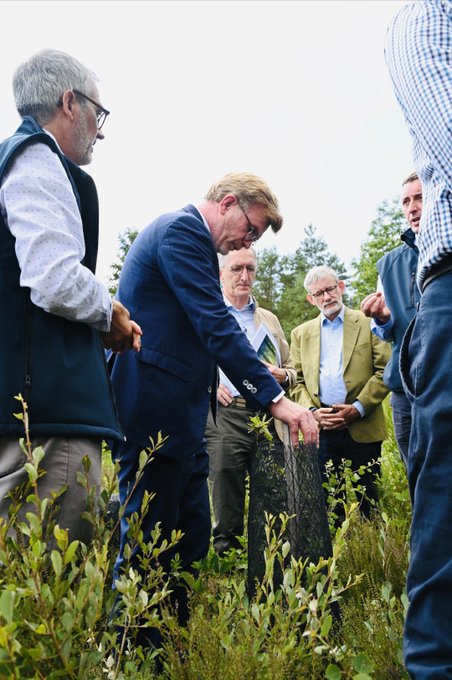 "8 à 10 milliards" d'euros pour sauver les forêts : "Ce qui est recommandé en partie dans ce rapport n'est pas acceptable", dénonce un ingénieur forestier