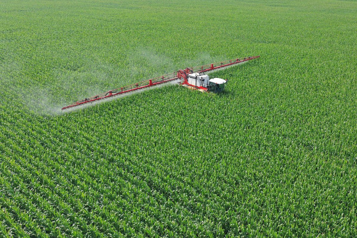 Jake Elgersma tweet media