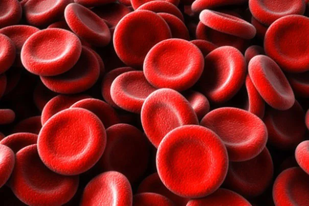 mikhailshapiro's tweet photo. What's the bloody mechanism behind the ultrasound contrast dynamics of #gasvesicles in circulation?
Congrats to @bill_ling and collaborators at @Caltech and @TheChanLab on finding out! 
https://t.co/hHqWMEP8R2 https://t.co/FNyR2vGU4X