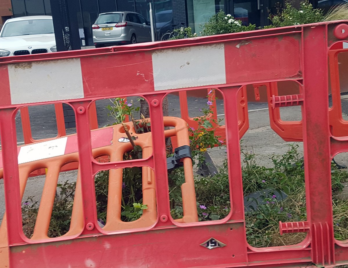 John E. Walsh #FBPE #LoveMinsmere 💙 tweet media