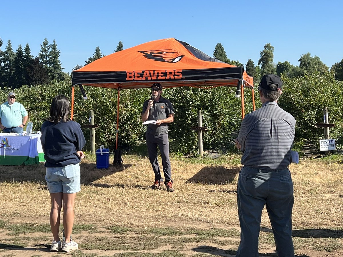 calstrawberries's tweet photo. Scott Lukas’ Blueberry Field Day at #NWREC today. https://t.co/Pgdfomrr2i