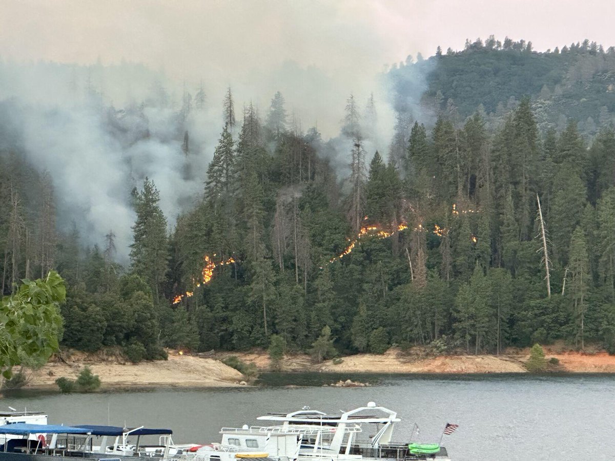 wildland_zko's tweet photo. 'Backing fire' describes fires moving downhill or into the wind. Often larger trees survive backing fire, especially if it occurs at night or early in the morning when temps are lower and humidities are higher. Here is an example from the #WonderFire (credit: @ActionNewsNow). https://t.co/Hr0oZ78x4V