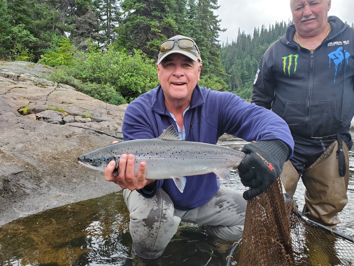 Atlantic Salmon - Big River Labrador