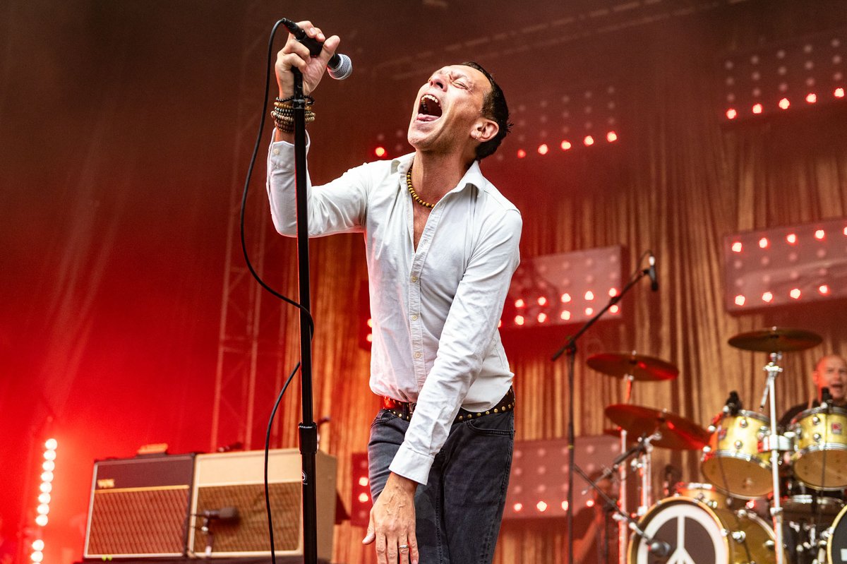 Mark Tighe tweet media