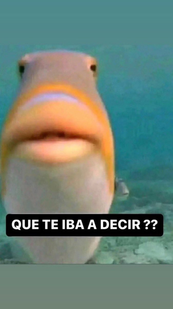 yo en la mitad el audio que estaba enviando :