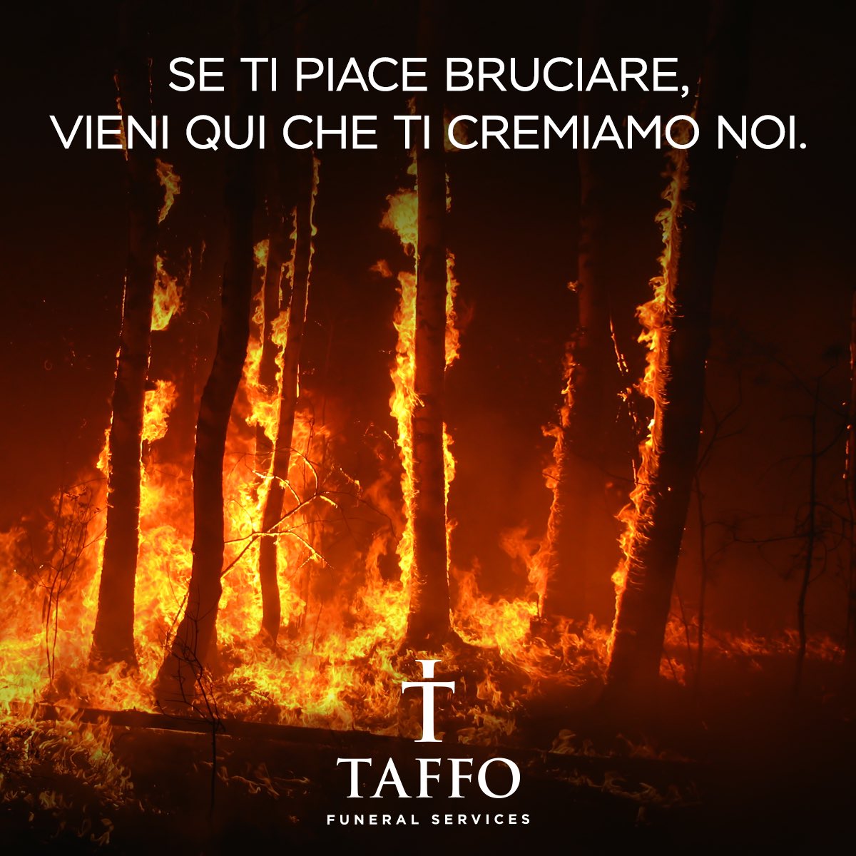 La Sicilia è in fiamme. Sono bruciati 693mila ettari di boschi, oltre 100 comuni sono in ginocchio e migliaia di persone sono state evacuate dalle loro abitazioni. 

Questa situazione è causata dalle azioni criminali dei piromani, ma anche dal cambiamento climatico. 1/3