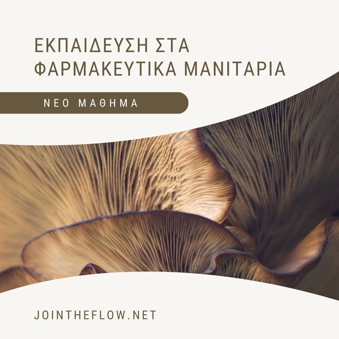 New course on Medicinal Mushrooms! Price: 50E only. See it here jointheflow.weebly.com/ekpaideysi-sta…
For now, the course is available only in Greek, but I am planning to make it available in English too, soon.
#herbalmedicine #healing #holistic
#medicinalmushrooms #mushroomeducation