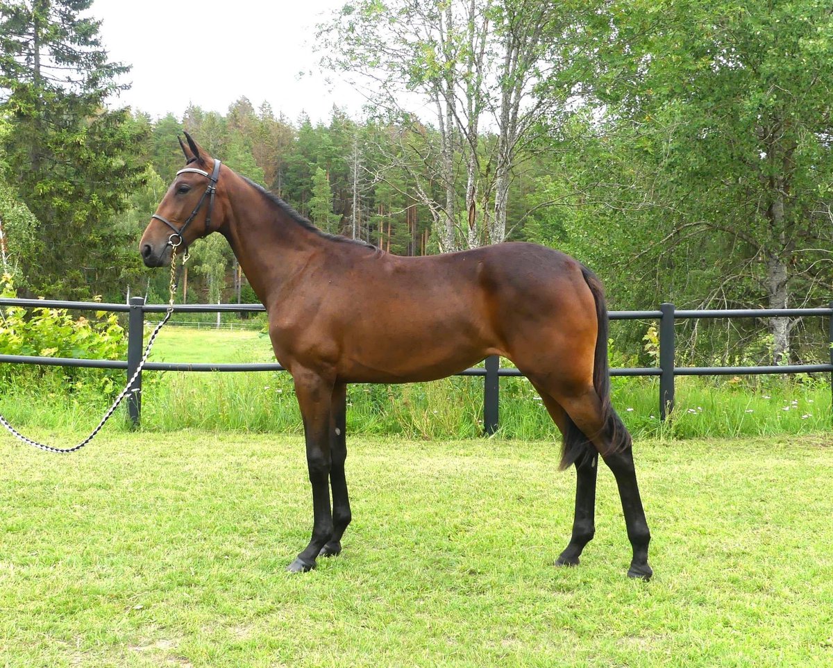 Flenmo Egendom AB tweet media