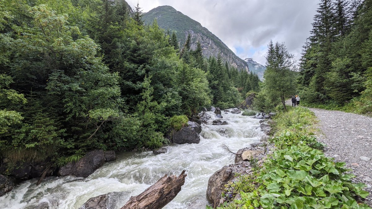 Sabine_MD's tweet photo. Bei der Wetterprognose noch einen Wandertag im #Lechtal eingelegt und von Holzgau den Rundweg Simmswasserfall und Hängebrücke mit Abstecher zur Roßgumpenalm gemacht und einen aufregenden Tag mit Wasserwandern und tollen Ausblicken erlebt #Lechweg https://t.co/zHka59vLWy